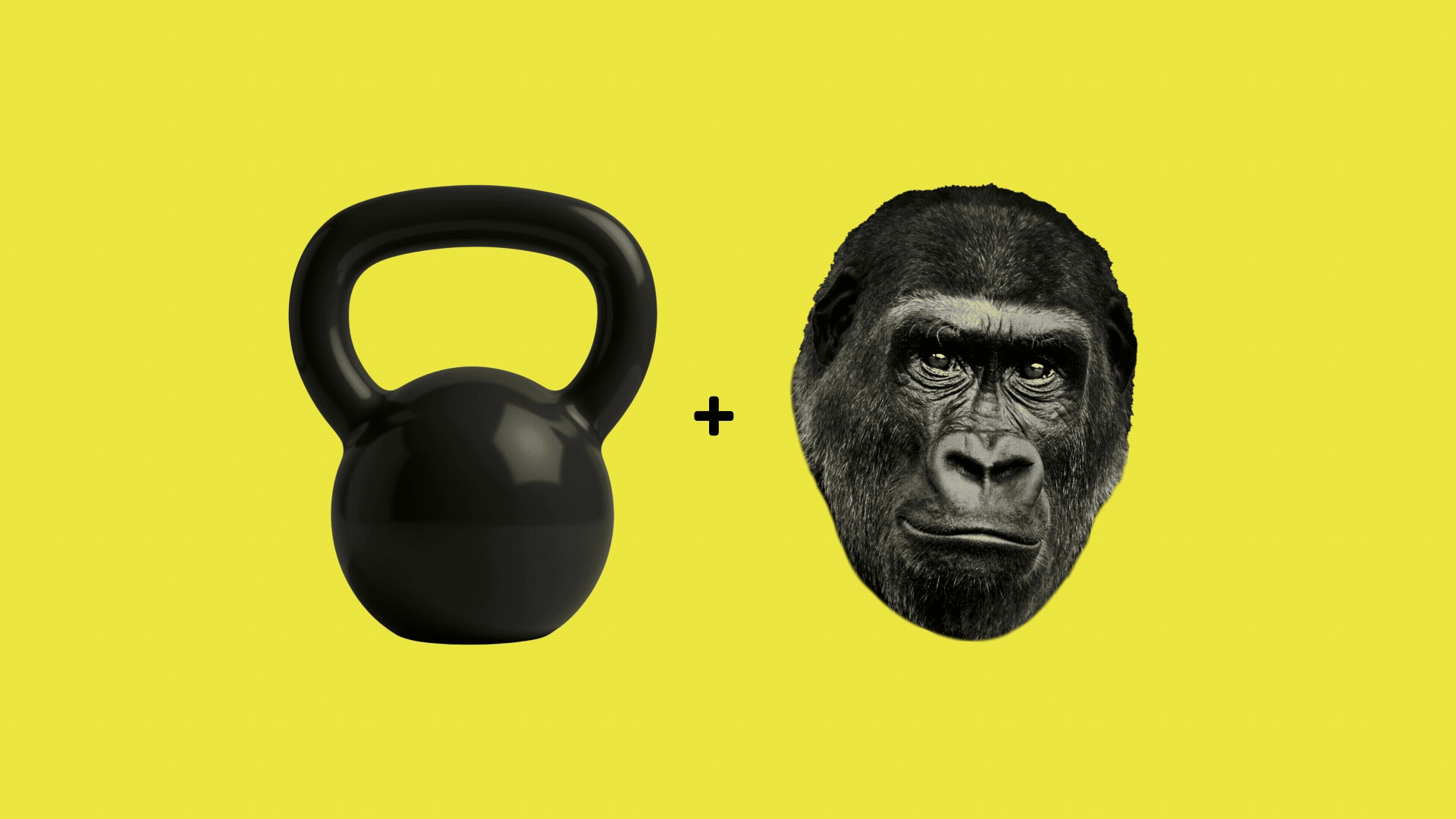 1920x1080_yellow Gorilla Man Fitness logo animation